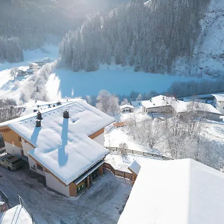 Alpensteinbock C Saalbach-Hinterglemm