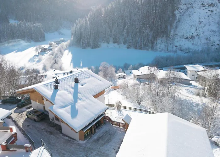Alpensteinbock C Saalbach-Hinterglemm