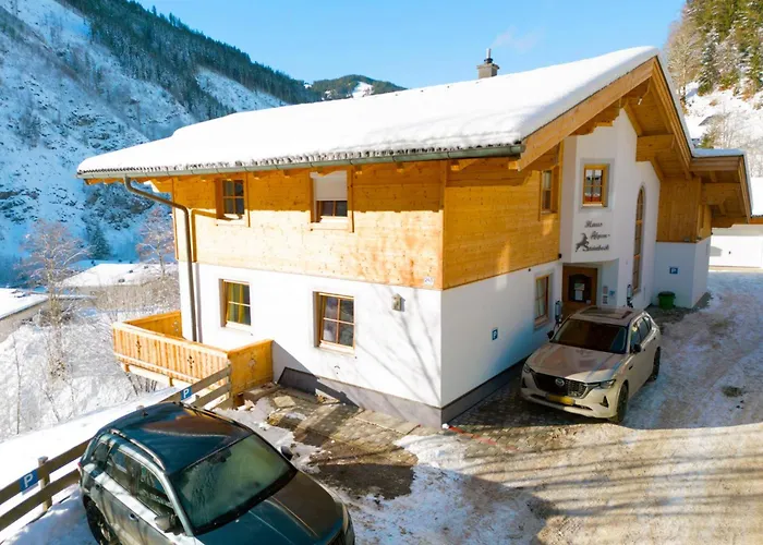 Apartamento Alpensteinbock C *