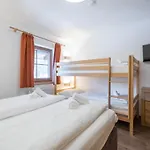 Alpensteinbock C * Saalbach-Hinterglemm