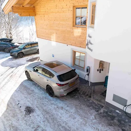 Alpensteinbock C Saalbach-Hinterglemm