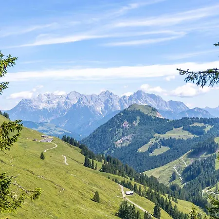 Alpensteinbock C * Saalbach-Hinterglemm