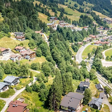 Alpensteinbock C Apartamento Saalbach-Hinterglemm