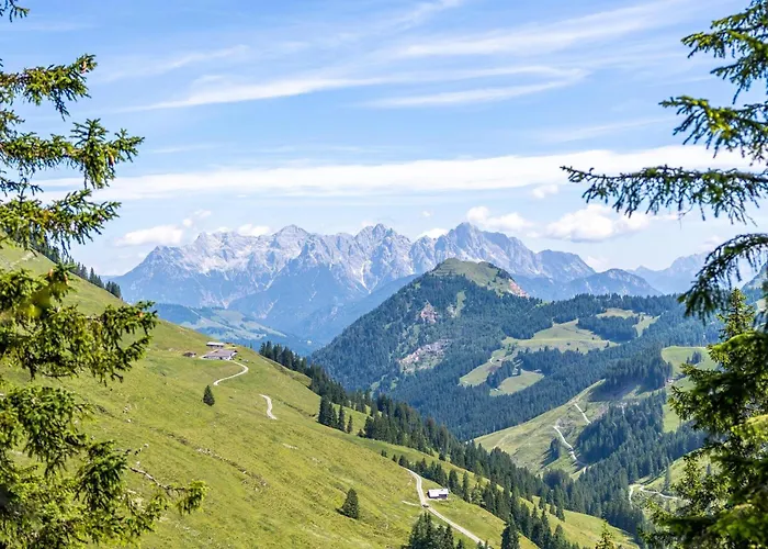 Alpensteinbock C * 잘바흐 힌터글렘